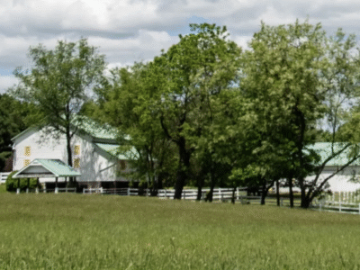 Sun and Cricket Bed & Breakfast